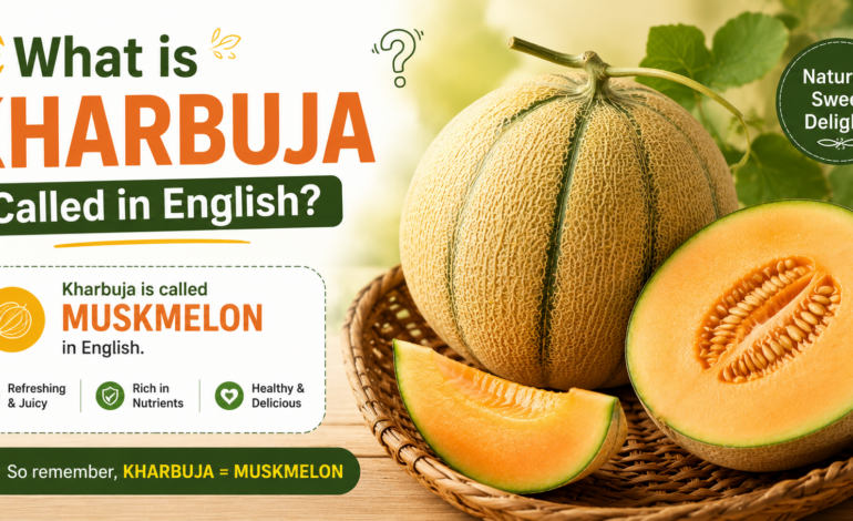 Muskmelon Meaning in English: Know the Real Name of Kharbuja
